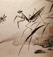 Shitao studies of insects mante 1707 traditional Chinese